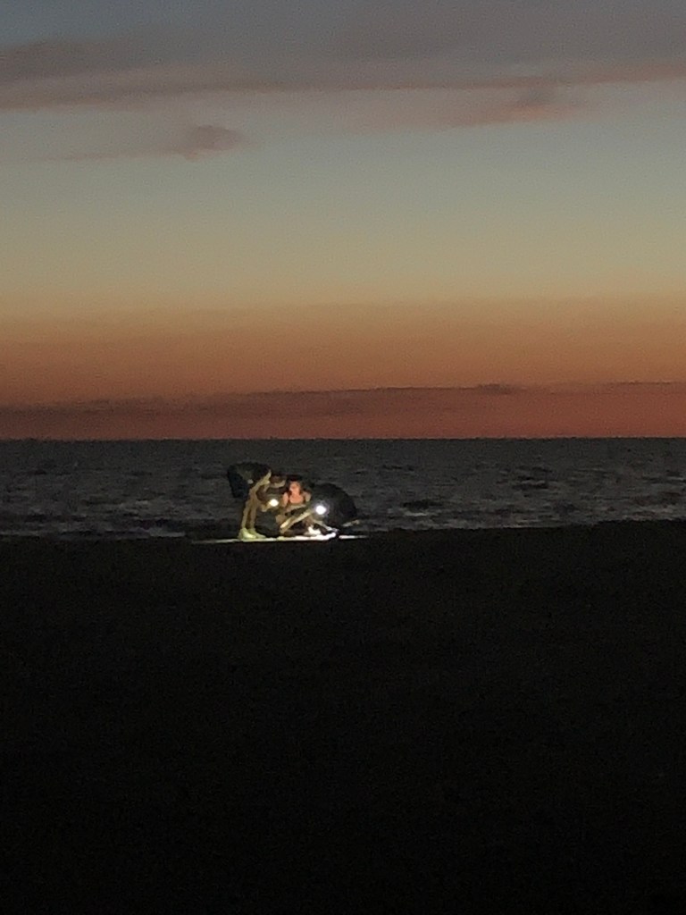People on beach at dusk
