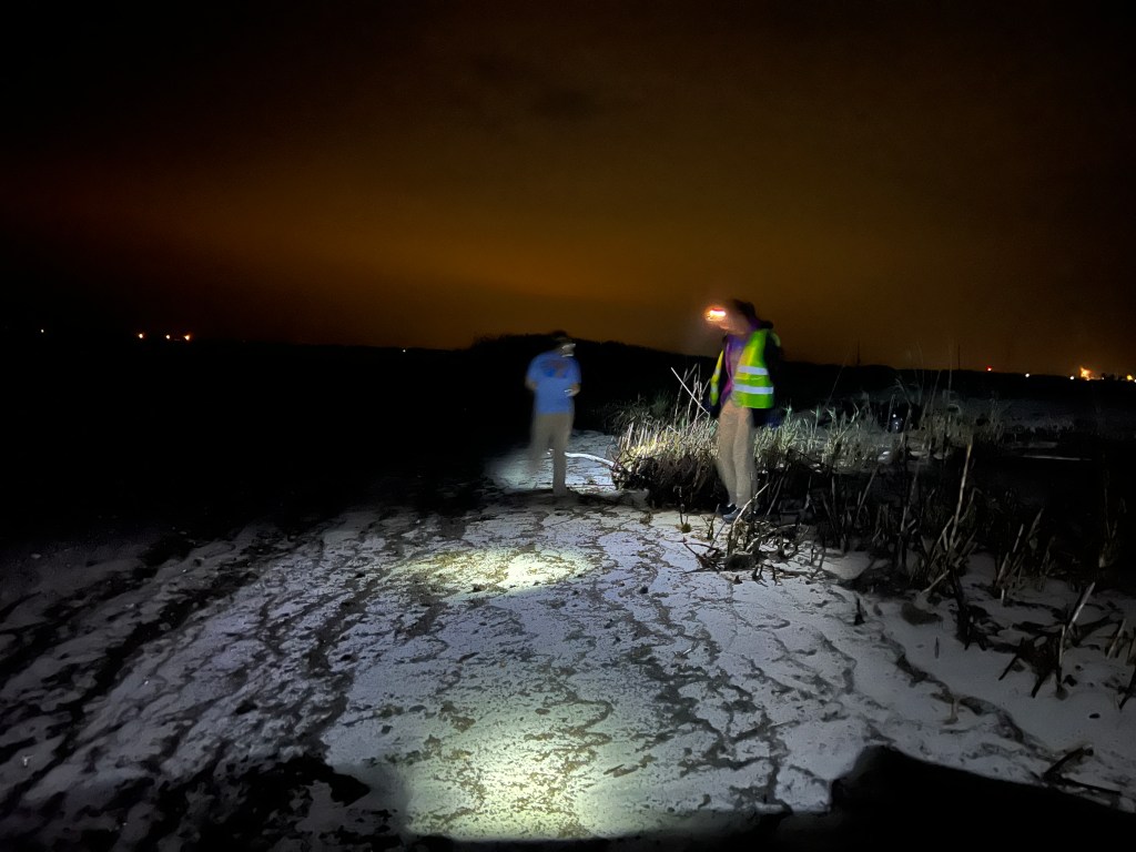 People on beach at night with headlamps