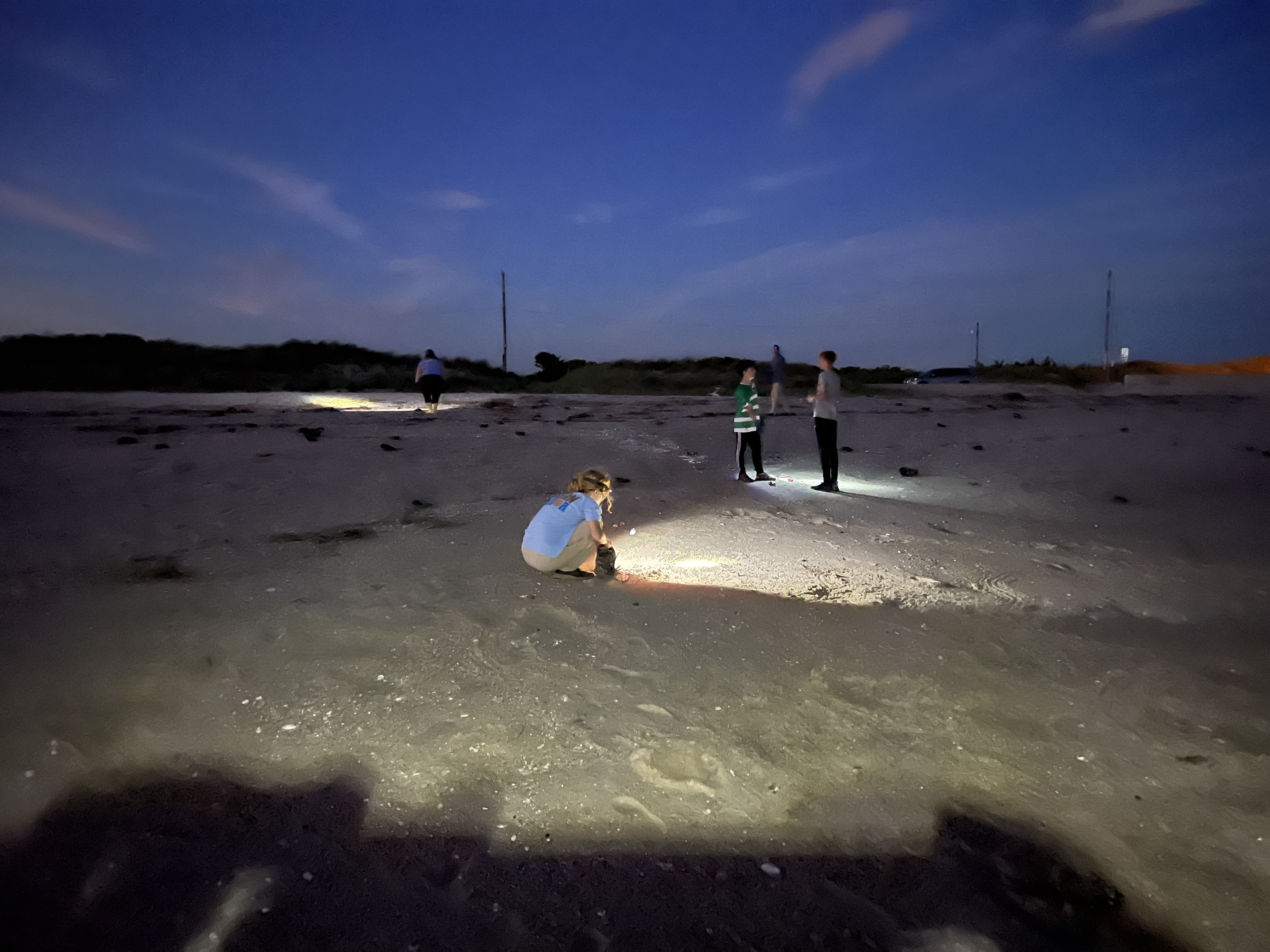 people on beach at night